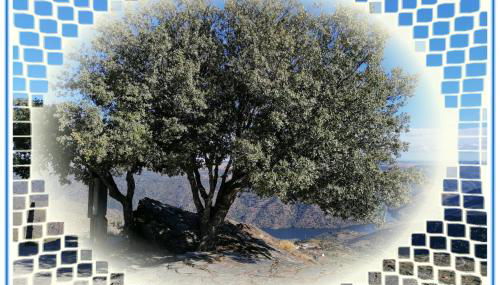 Casa do Rossio - Foto 4