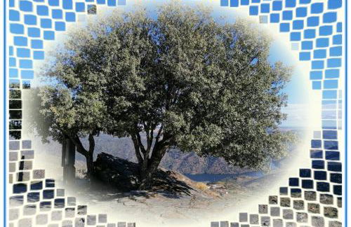 Casa do Rossio - Foto 4