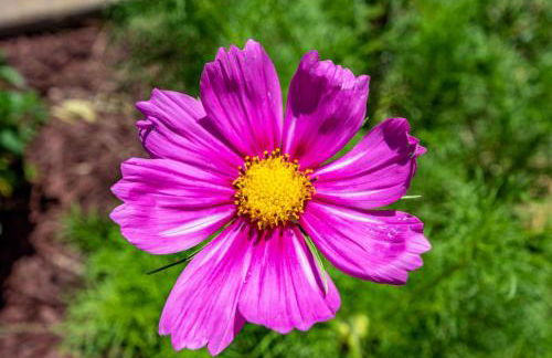 Alpine 4 Bedroom Retreat with Hot tub and Pool table - Foto 35