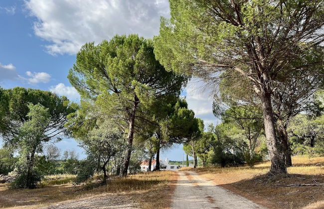 Fazenda do Pomar - Foto 68