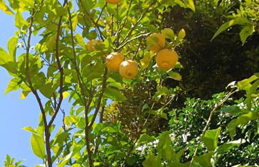 La Casa di Sisi - Foto 13