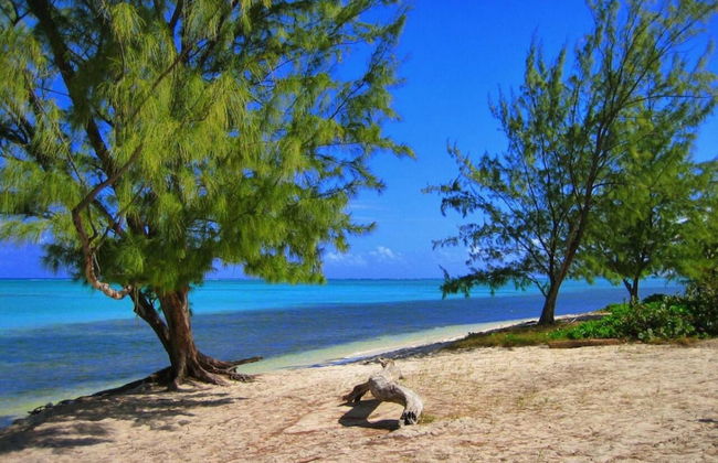 S2A Blue Pavilion - Beach Transfers Meals Tours Island Retro Chic - Photo 33