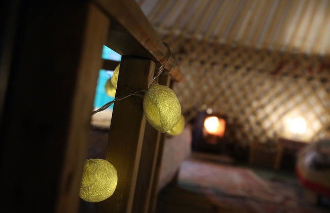 Hapus Yurt - Two Beautiful Yurts and Barn Cottage - Foto 28