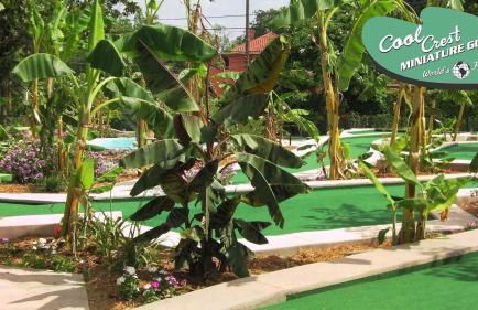 Fyrebird Place - Industrial Loft with Pavilion & Yard - Foto 51