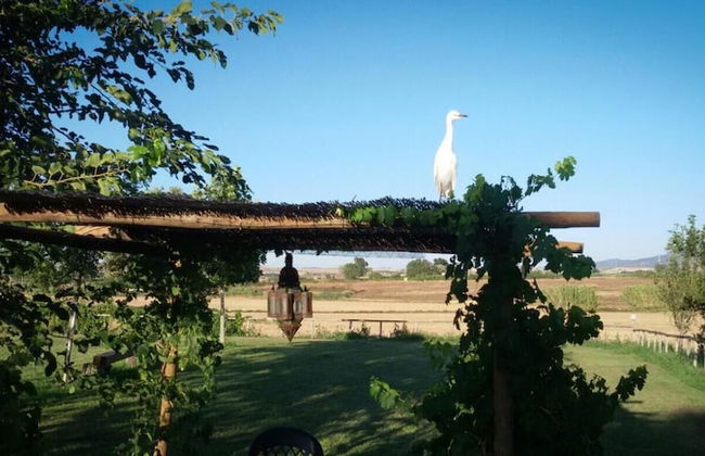 Agriturismo San Matteo - Foto 33