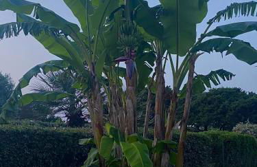 Villetta Esclusiva sulla Spiaggia della Pelosa - Foto 51