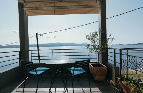 Drenia Studios - Foto 48