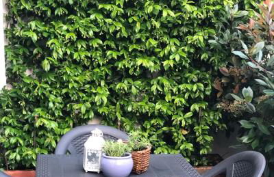 Simona Comfort e Relax tra Bologna e Firenze 8 min A1 - Foto 50