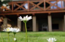 Leśny Domek - Foto 63