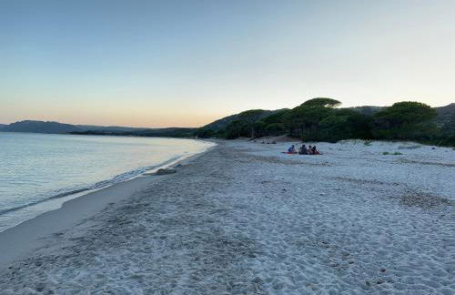 CHAPEAU LES ARTISTES - Foto 20