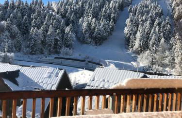 APPARTEMENT AUX PIEDS DES PISTES DE SKI - Photo 1