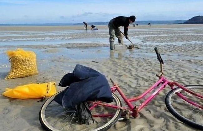 Villa Ti An Amiral - Foto 31