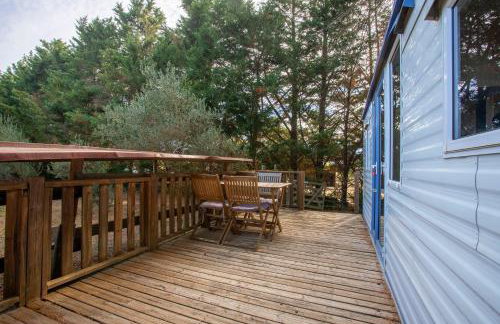 Kenya - Écuries du Mas di Gau - Foto 21