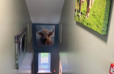 stylish and modern Spacious 2 bedroom apartment - Photo 15