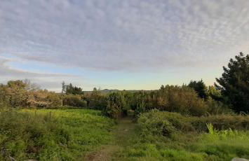 Casa da Canella - En la Ribeira Sacra - Foto 50