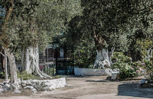 Village House In An Olive Grove! - Foto 15