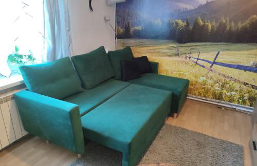 Apartament Wrzos Bieszczady - Foto 3