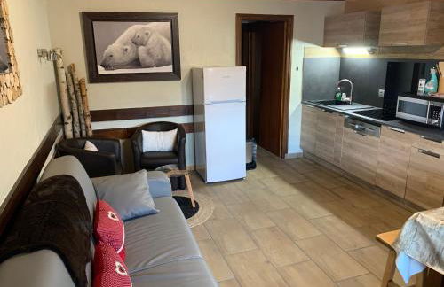 APPARTEMENT PLEIN SUD AUX SAISIES n3 - Foto 18