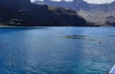 El Álamo Las Nieves Agaete & Parking - Foto 26