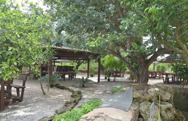 Masseria Pisciani - Photo 63