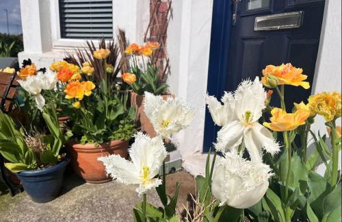 Hyem at Cullercoats - Foto 7