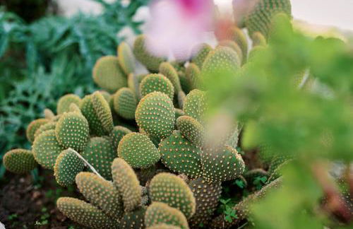 Olympia's Cozy Guesthouse - Foto 28