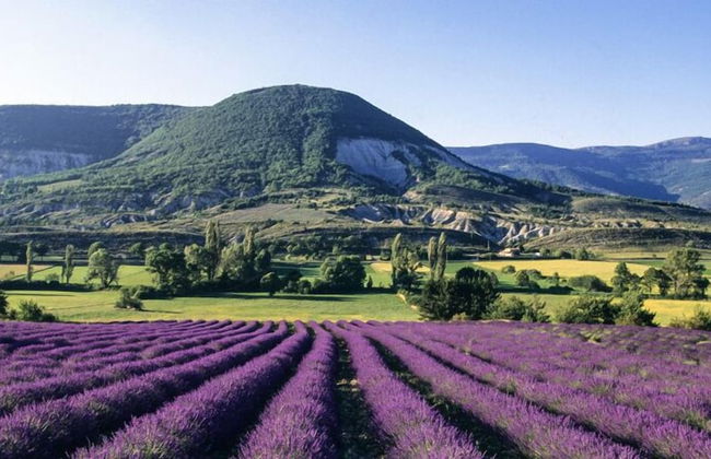 Village Vacances La Fontaine d'Annibal - Foto 51