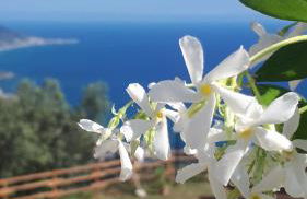 Tenuta Belvedere Cilento - Foto 32