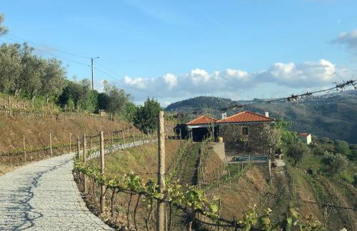 Quinta do Barrocal - Casa de Campo - Foto 31