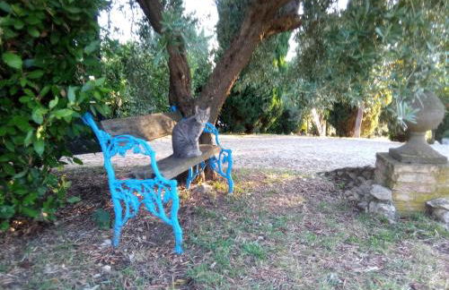 Deliziosa casa sull albero a 30 minuti da Roma - Foto 24