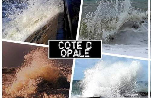 MOBILHOME du Marais EN BAIE DE SOMME - Foto 9