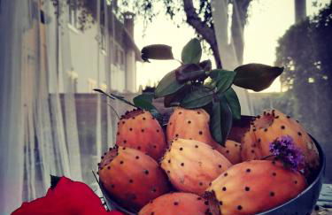 Casolare Isabella "Il rifugio dei vinili" and Alice's room - Foto 42