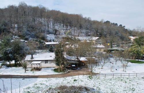 Apartamento Rural Lago Enol - Foto 62