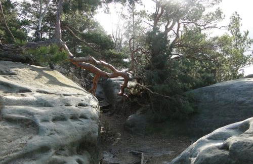 FeWo „Zum Napoleonstein“ - Foto 50