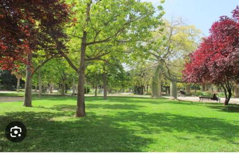 Mestalla flats & Rut - Foto 53