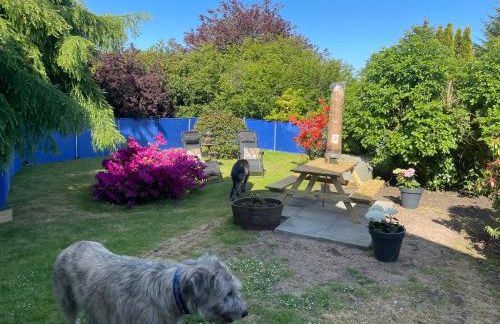 Bumble’s Barn - Foto 15