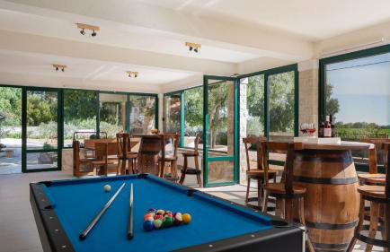 Tosic Estate - Villa, Vineyards and Winery - Foto 10