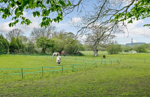 2 Bed in Fordingbridge oc-82875 - Foto 16