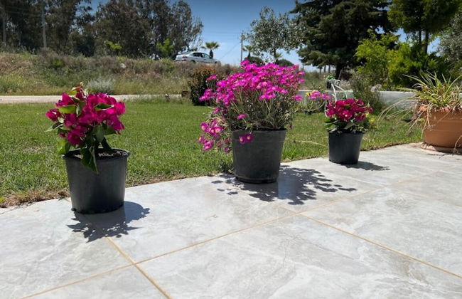 OZBEK APART OTEL - Photo 16