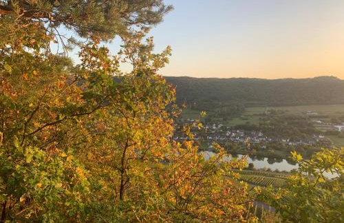 Modernes Apartment "Rebennah" Küche, Top Anbindung für Urlaub & Beruf - Photo 29