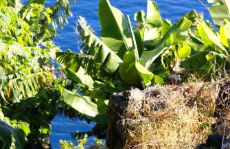 Torre Bella Gardens - Foto 52