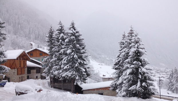 Maso Fior di Bosco - Val di Rabbi - Esercizio Rurale - Foto 2, Immagine principale