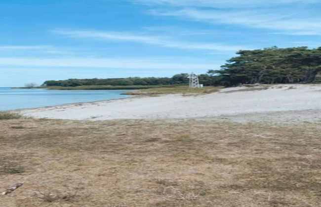 Insel-bungalow auf Poel - Foto 31