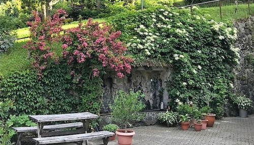 Waldbauernhof - Foto 4