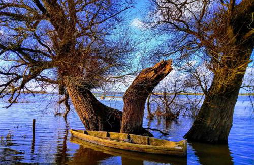 La Tireliere, longère bord de mer avec jardin - Foto 39