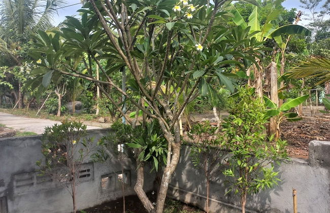 khethech house - Foto 21