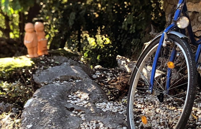 Antalya Bodrum Kayası Dağ Oteli - Foto 25