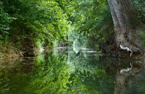 Villa Puri nella Valle dei Laghi - Foto 74
