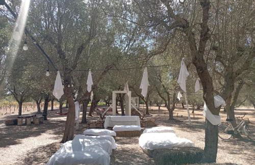 Tenuta L'uliveto - Foto 6