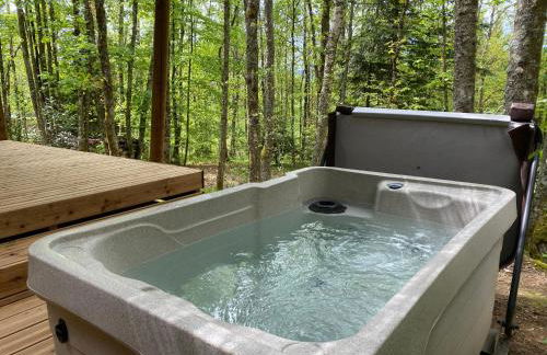 Vosges Hygge - Chalets Lodges & Spa - Foto 1